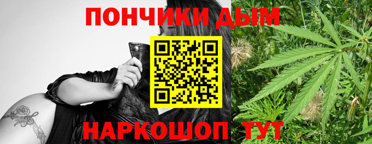 Бошки марихуана план Санкт-Петербург